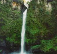 Nandroya Falls Circuit Track Wooroonooran National Park - Accommodation Adelaide