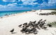 Michaelmas And Upolo Cays National Park - thumb 0