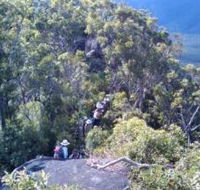 Mia Mia State Forest - Accommodation Adelaide