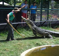 Snakes Downunder Reptile Park and Zoo - Accommodation Adelaide