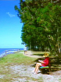 Melaleuca Track - Accommodation Adelaide 0