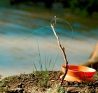 Charleville - Mangalore Warrego River Fishing Spot - Accommodation Adelaide