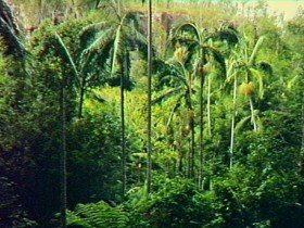 Monto QLD Accommodation Adelaide