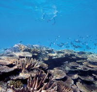 Australian Institute of Marine Science - Accommodation Adelaide