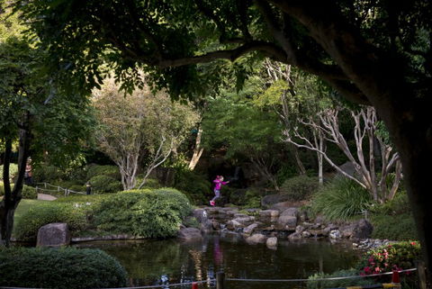 Brisbane Botanic Gardens Mount Coot-tha - Accommodation Adelaide 2