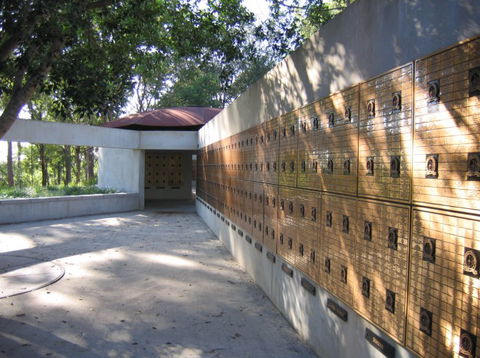 Brisbane Botanic Gardens Mount Coot-tha - Accommodation Adelaide 3
