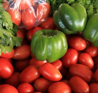 Burleigh Heads Markets - Accommodation Adelaide