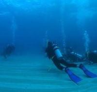 Child Island Dive Site - Accommodation Adelaide