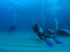 Child Island Dive Site - Accommodation Adelaide 0