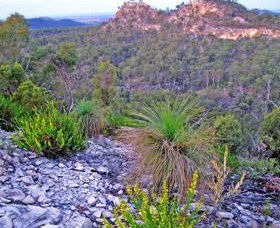 Coorada QLD Accommodation Adelaide