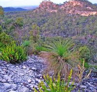 Isla Gorge National Park - Accommodation Adelaide