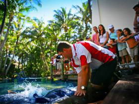 Daydream Island QLD Accommodation Adelaide