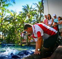 The Living Reef on Daydream Island - Accommodation Adelaide