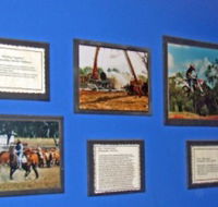 Town Hall Photographic Display - Accommodation Adelaide