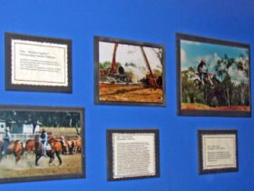 Town Hall Photographic Display - Accommodation Adelaide 0