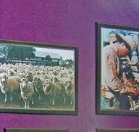 Charleville Photographic Display - Accommodation Adelaide