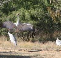 Bulloo River Walk - Accommodation Adelaide
