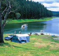 Danbulla National Park and Danbulla State Forest - Accommodation Adelaide