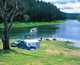 Danbulla National Park And Danbulla State Forest - Accommodation Adelaide 0