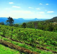 Preston Peak Wines - Accommodation Adelaide