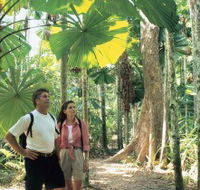 Licuala State Forest - Accommodation Adelaide