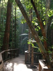 Basin Lake Track - Accommodation Adelaide 0