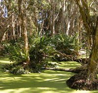 Arkarra Lagoons and Tea Gardens - Accommodation Adelaide
