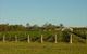 Kingsley Grove Estate - thumb 0