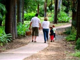 Emerald Botanic Gardens - Accommodation Adelaide 0