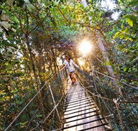 Tree Top Walkway - Accommodation Adelaide