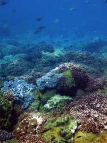 Bargara QLD Accommodation Adelaide