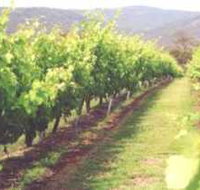 Girraween Estate - Accommodation Adelaide