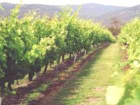 Girraween Estate - Accommodation Adelaide 0
