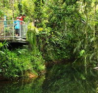 Djiru National Park - Accommodation Adelaide