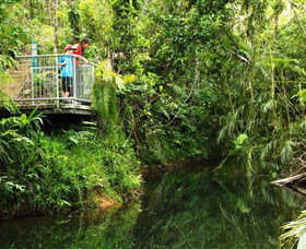 Djiru National Park - Accommodation Adelaide 0