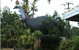 The Big Cassowary - thumb 0