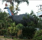 The Big Cassowary - Accommodation Adelaide