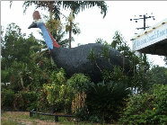 The Big Cassowary - Accommodation Adelaide 0