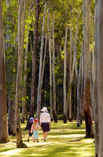 Tondoon Botanic Gardens - Accommodation Adelaide 3
