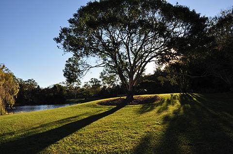 Tondoon Botanic Gardens - Accommodation Adelaide 4