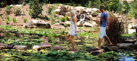 Tondoon Botanic Gardens - Accommodation Adelaide 7