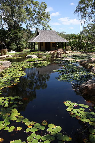 Tondoon Botanic Gardens - Accommodation Adelaide 8