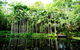 Tondoon Botanic Gardens - thumb 11