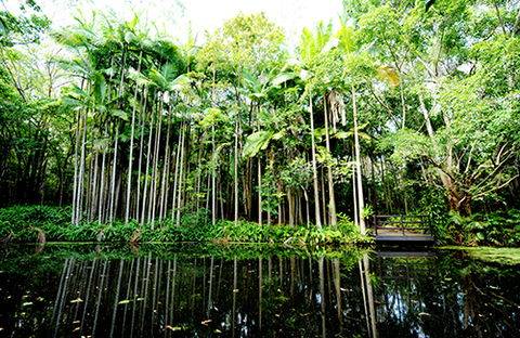 Tondoon Botanic Gardens - Accommodation Adelaide 11