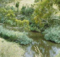 Yarrambat Park - Accommodation Adelaide