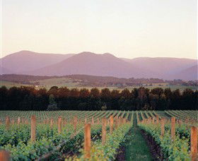 Domaine Chandon - Accommodation Adelaide 0
