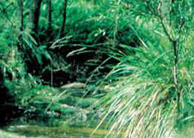 Trentham East VIC Accommodation Adelaide