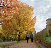 Indigo Gold Trail - Accommodation Adelaide