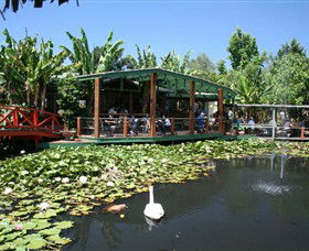 Blue Lotus Water Garden - Accommodation Adelaide 0