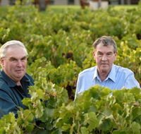 Campbells Wines - Accommodation Adelaide